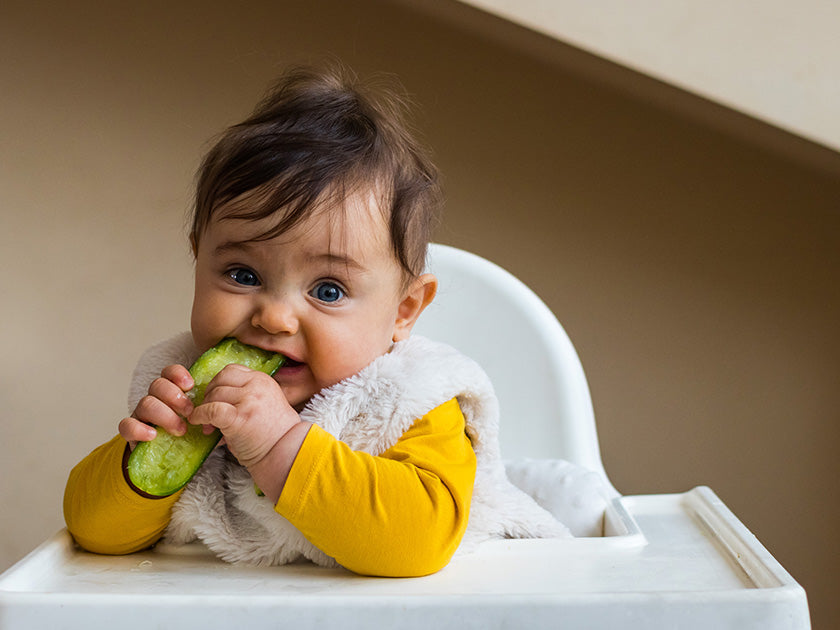 Quels sont les premiers aliments pour débuter la diversification alimentaire de bébé ?